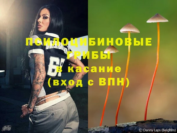 кокс Алексеевка