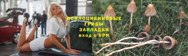 трава Алзамай