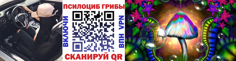 наркошоп  Кемь  Псилоцибиновые грибы Psilocybe 