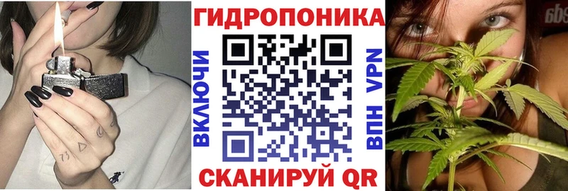 Марихуана Ganja  купить наркоту  Кемь 
